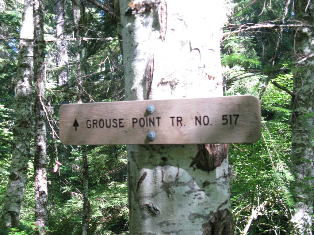 OldSign.jpg