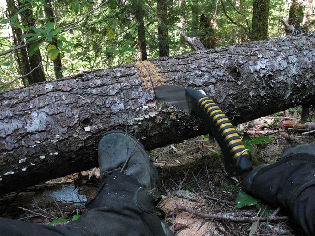 Sawing.jpg