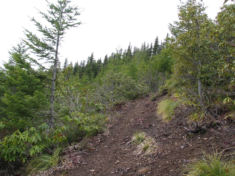 trail.jpg