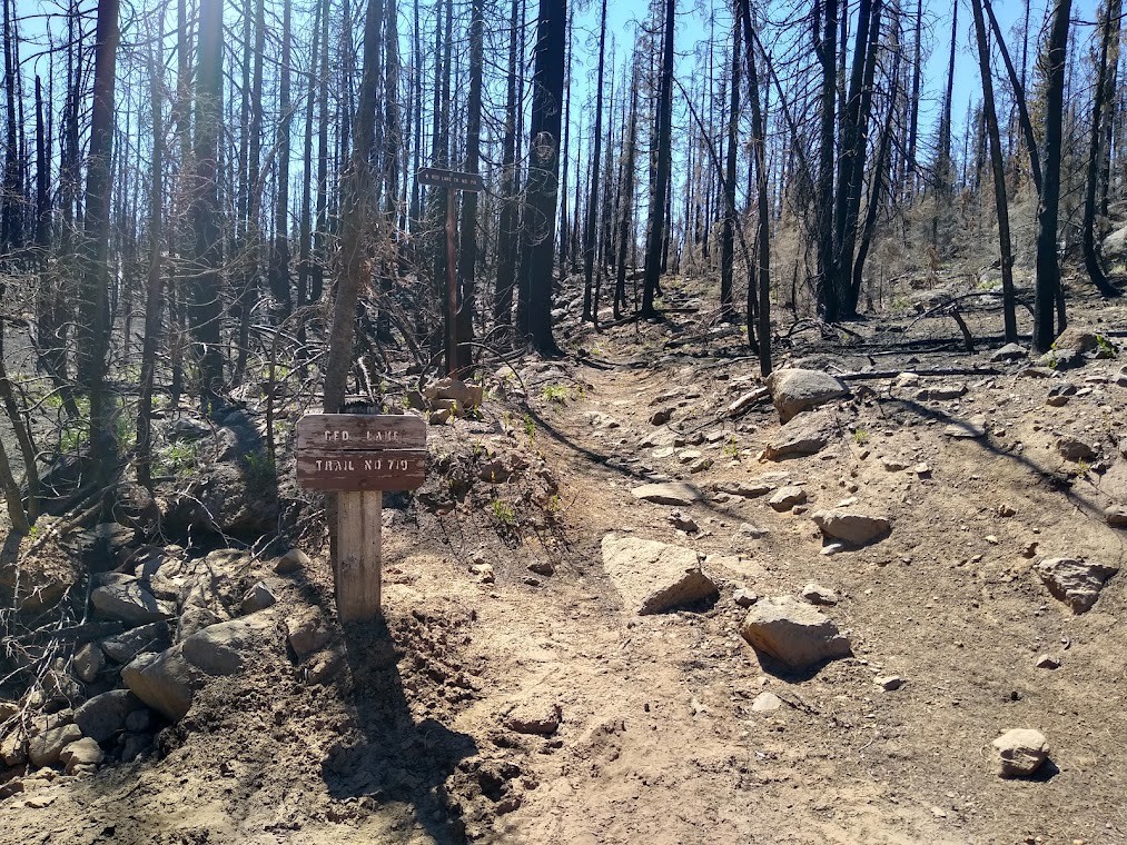 Red-lakes-Trail-July-2021.jpg
