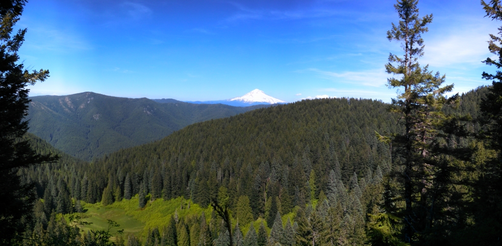 IMG_20140605_155722_151.jpg