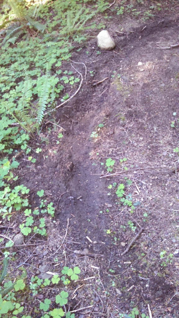IMG_20140605_184026_270.jpg