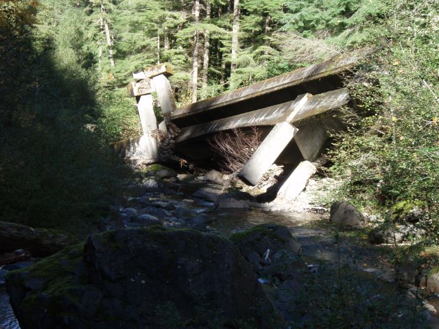 PA290083.jpg