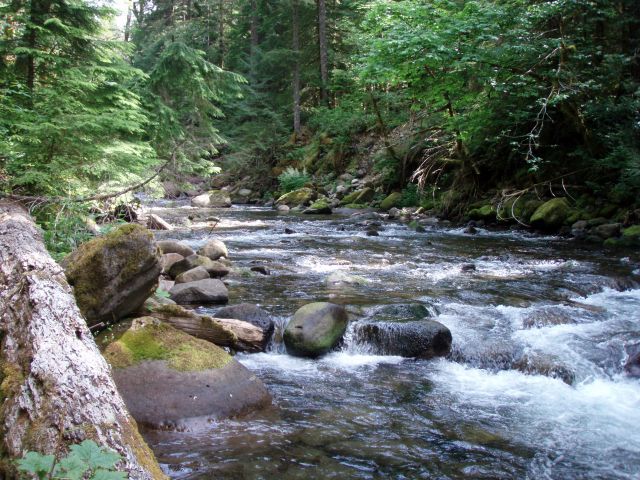 RoaringRiver.jpg