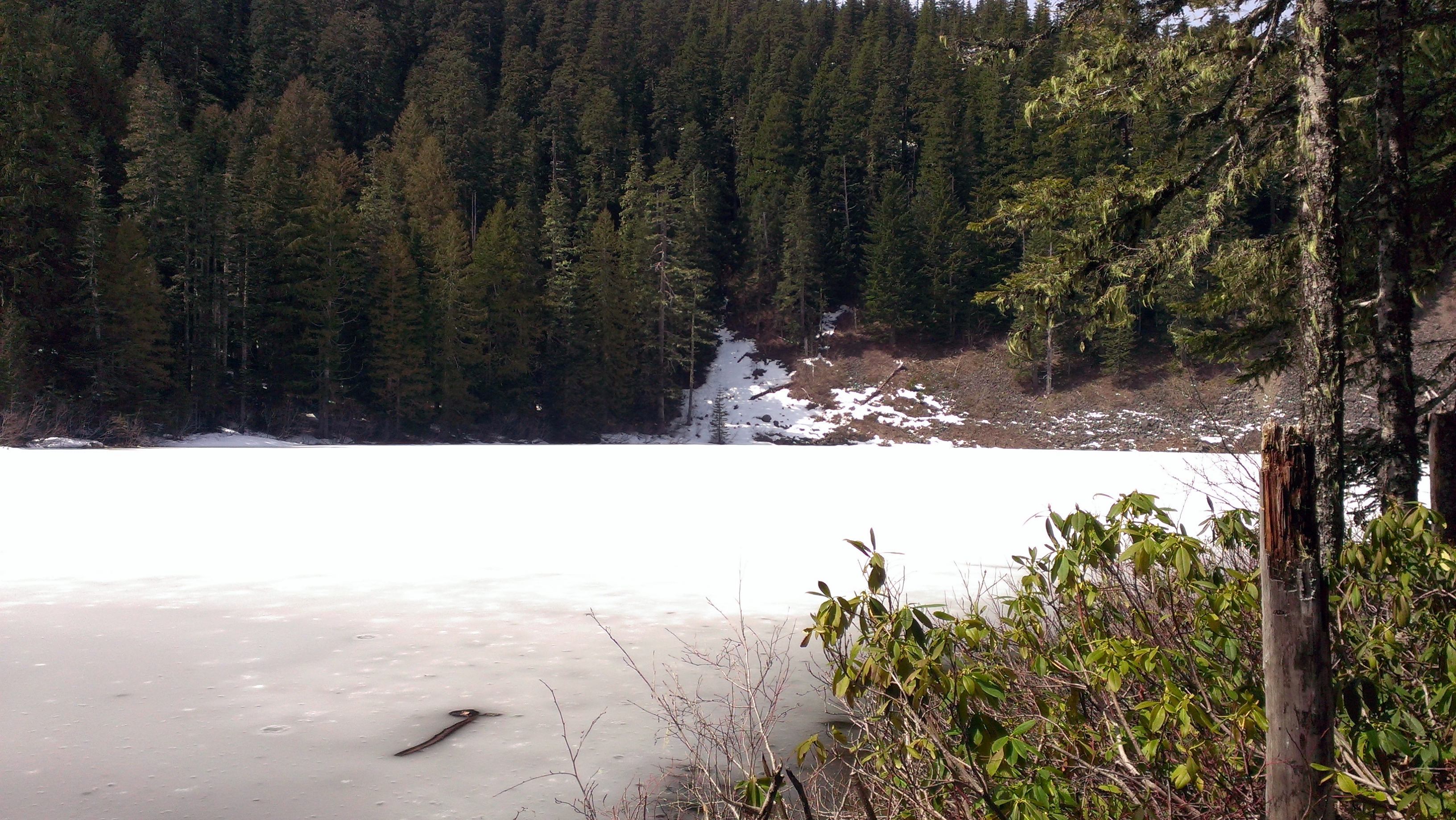 DSC_0028.JPG