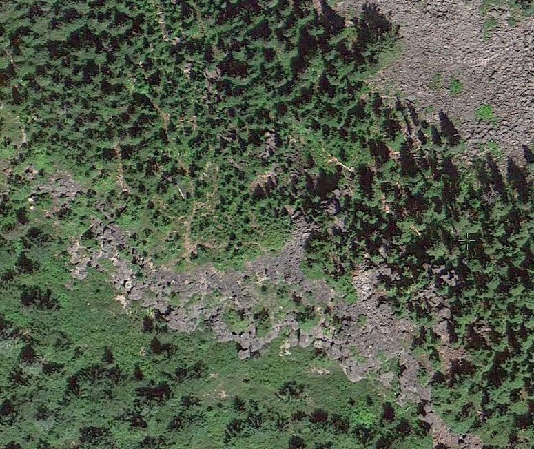 TrailPic.jpg