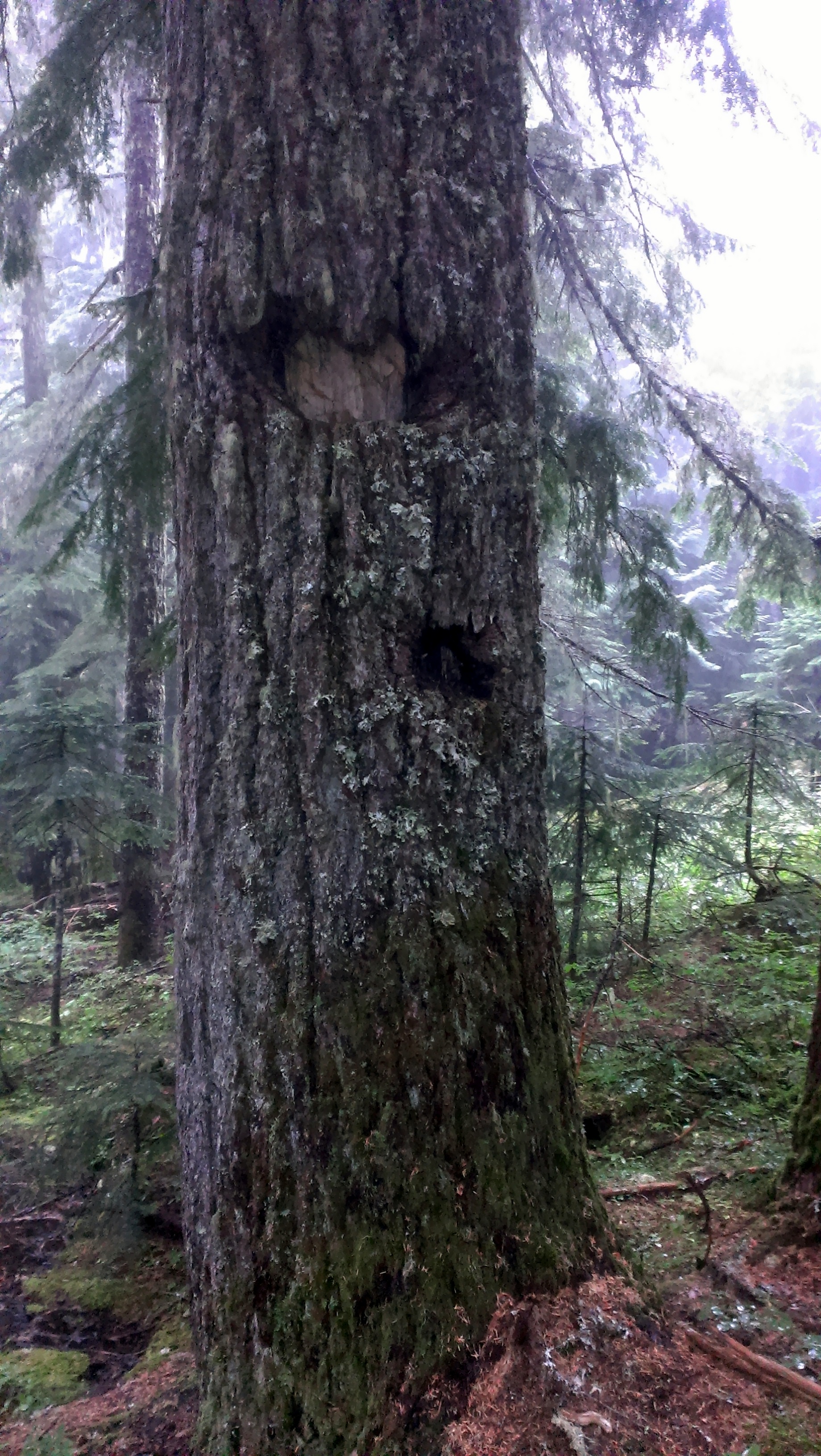 IMAG0359.jpg