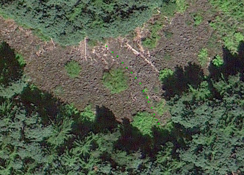SouthForkTrailGoogleAerial.jpg