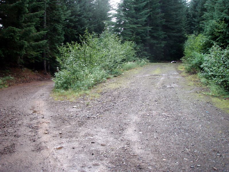 The trailhead