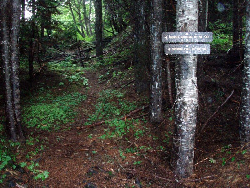 Trail signs