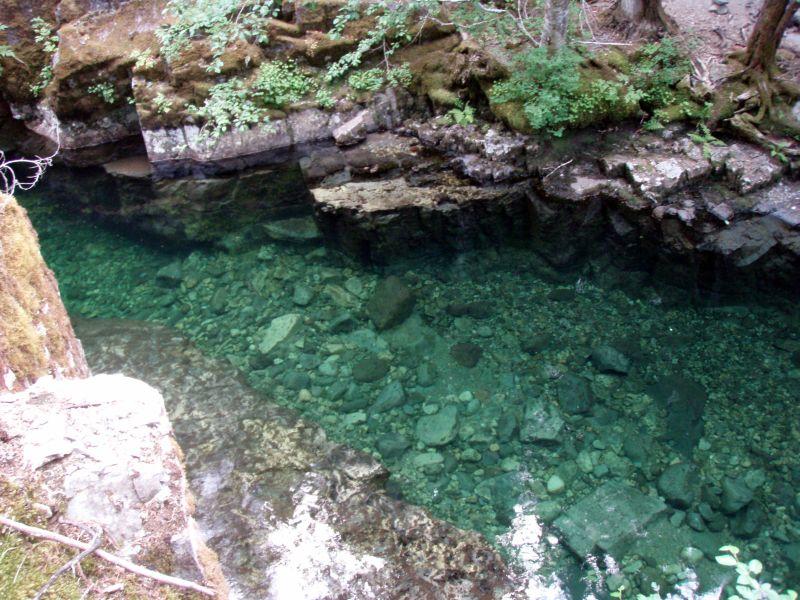 Pools on Elk Lake Creek