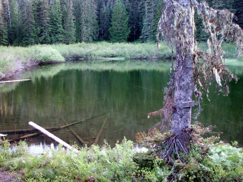 Upper Welcome Lake