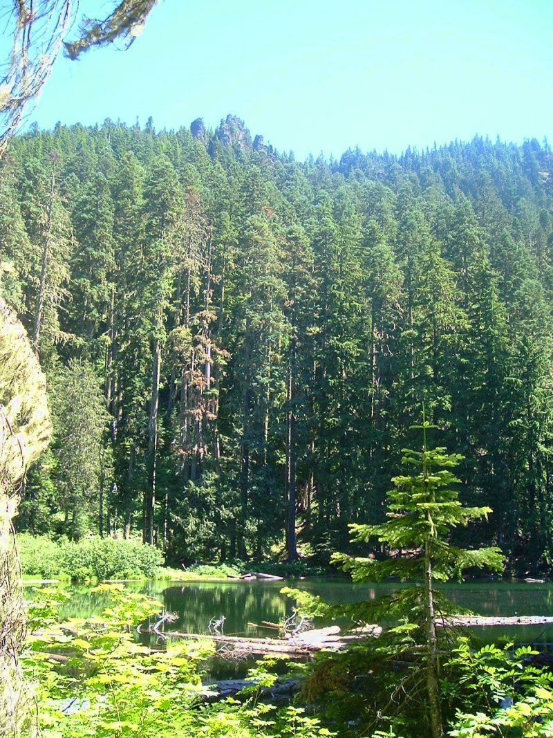 Skookum Lake Trail 542 Trail Advocates