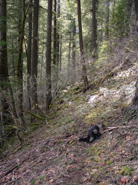 Resurrecting an Abandoned Trail