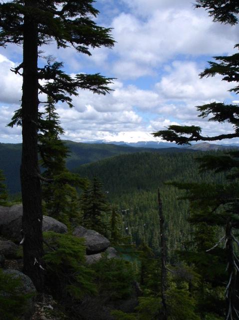 South Fork Roaring River Canyon from Grouse Point Trail