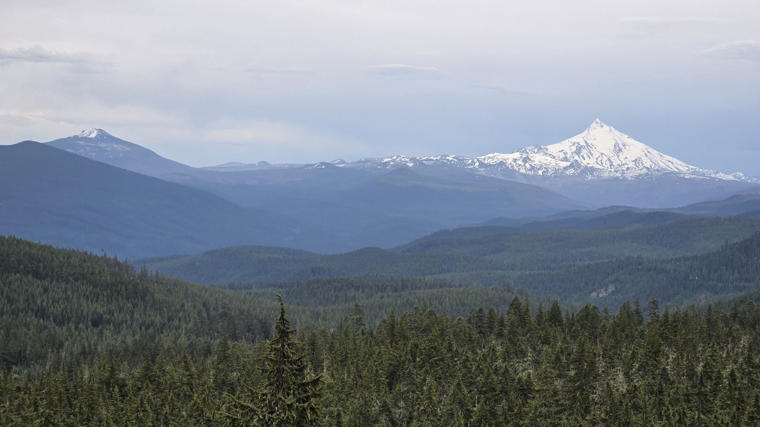 Olallie Butte and Mt Jefferson from Burnt Granite Trail