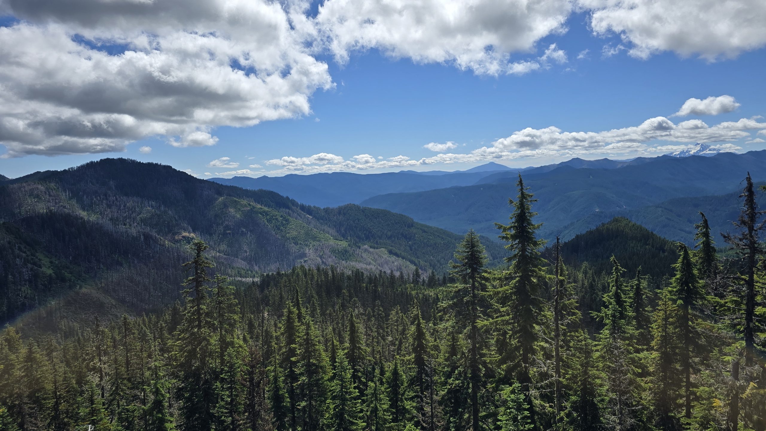 One of the awesome views on the Baty Butte Trail