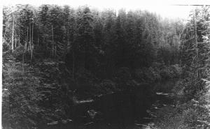 Clackamas Canyon  - 1910