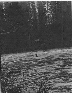 South Fork Cable Crossing