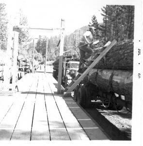 North Fork Scaling Station - 1960