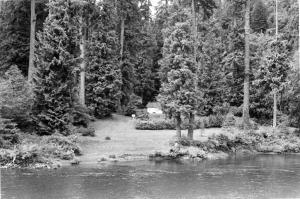 Oregon City Water Works - Undated