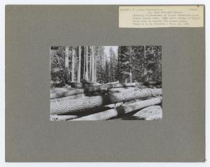 Ripplebrook-Oak Grove Road Building-1946