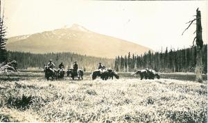 Olallie Meadow - Undated