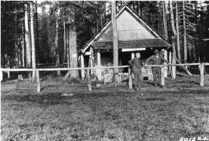 Olallie Meadows Cabin