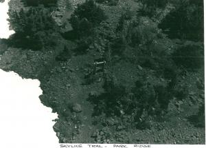 Skyline Trail - Park Ridge - Undated