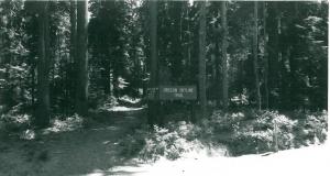 Oregon Skyline Trail Sign - 1971