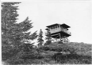 Bull of the Woods Lookout
