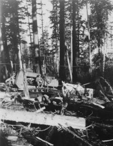 Mt Wilson - Supplies - 1923