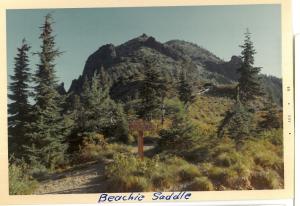 Beachie Saddle Trail - 1969